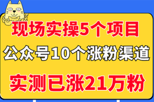 现场实操5个公众号项目，10个涨粉渠道，实测已涨21万粉！