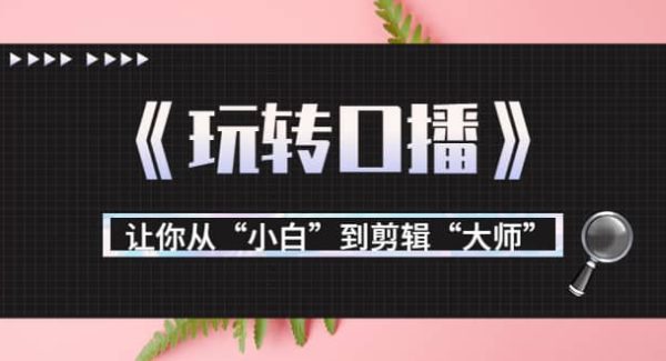 月营业额700万 大佬教您《玩转口播》让你从“小白”到剪辑“大师”