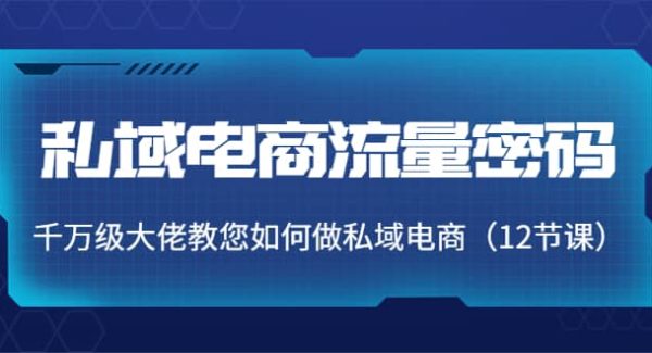 私域电商流量密码：千万级大佬教您如何做私域电商（12节课）