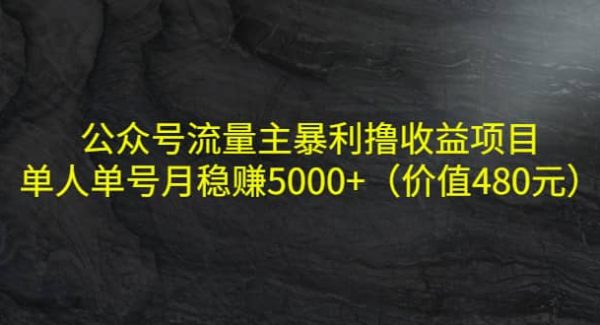 公众号流量主暴利撸收益项目，单人单号月稳赚5000 （价值480元）