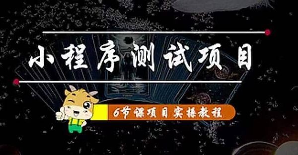 小程序测试项目 从星图 搞笑 网易云 实拍 单品爆破 抖音抖推猫小程序变现