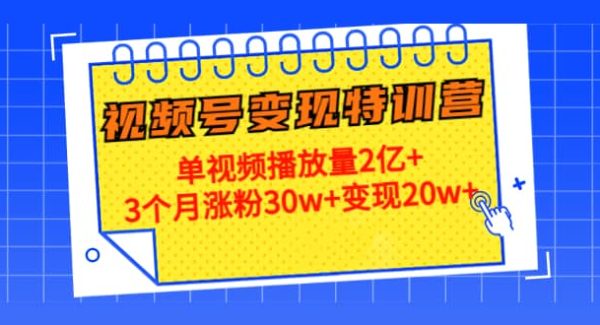 20天视频号变现特训营：单视频播放量2亿