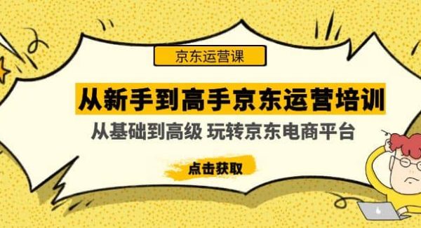 从新手到高手京东运营培训：从基础到高级 玩转京东电商平台(无水印)