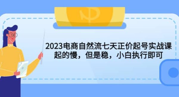 2023电商自然流七天正价起号实战课：起的慢，但是稳，小白执行即可