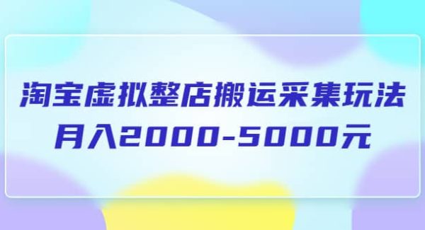 淘宝虚拟整店搬运采集玩法分享课：月入2000-5000元（5节课）