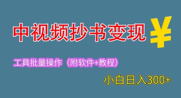 2023中视频抄书变现（附工具 教程），一天300 ，特别适合新手操作的副业