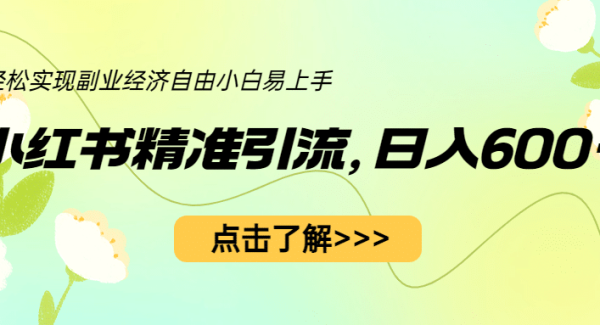 小红书精准引流，小白日入600 ，轻松实现副业经济自由（教程 1153G资源）