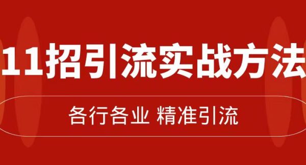 精准引流术：11招引流实战方法，让你私域流量加到爆（11节课完整版）