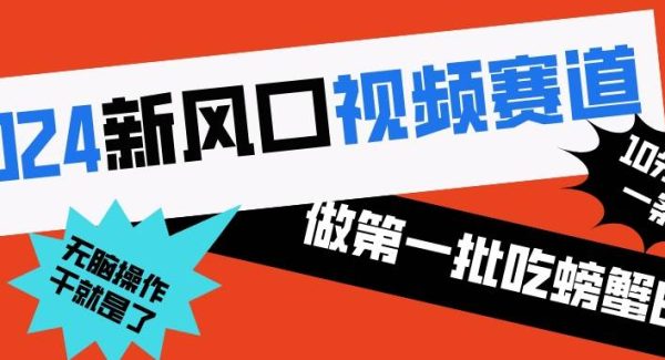 2024新风口视频赛道 做第一批吃螃蟹的人 10分钟一条原创视频 小白无脑操作1