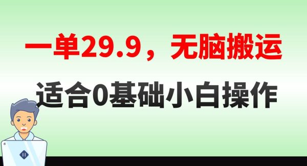 无脑搬运一单29.9，手机就能操作，卖儿童绘本电子版，单日收益400