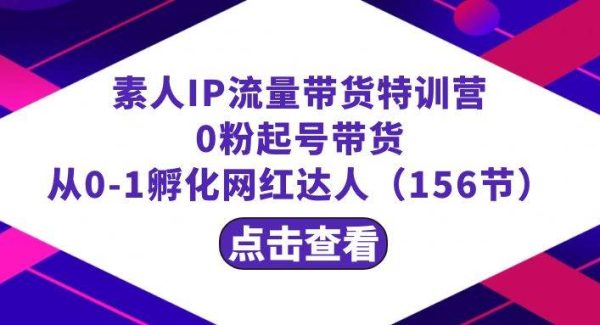 繁星·计划素人IP流量带货特训营：0粉起号带货 从0-1孵化网红达人（156节）