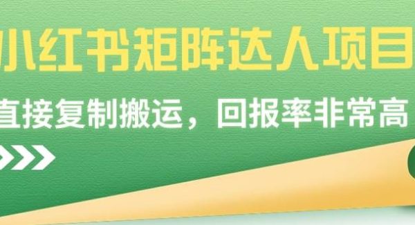 小红书矩阵达人项目，直接复制搬运，回报率非常高