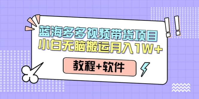 人人都能操作的蓝海多多视频带货项目 小白无脑搬运（教程+软件）