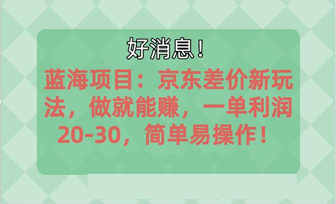 越早知道越能赚到钱的蓝海项目：京东大平台操作，一单利润20-30，简单…