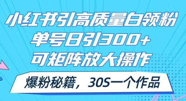 小红书引高质量白领粉，单号日引300+，可放大操作，爆粉秘籍！30s一个作品